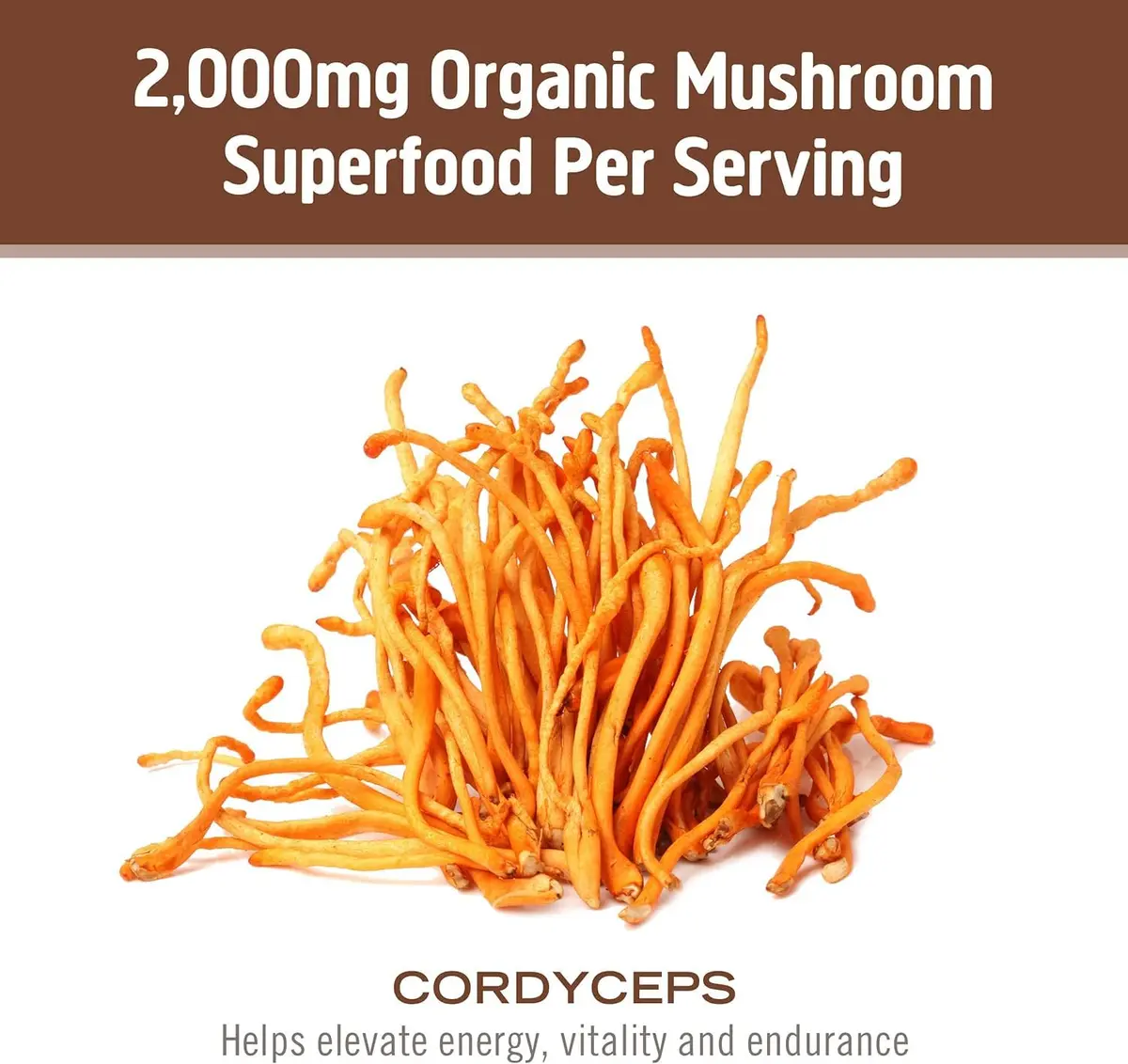 OM MUSHROOM SUPERFOOD Cordyceps Organic Mushroom Powder, 3.5 Oz | Supports Energy & Endurance - view 7
