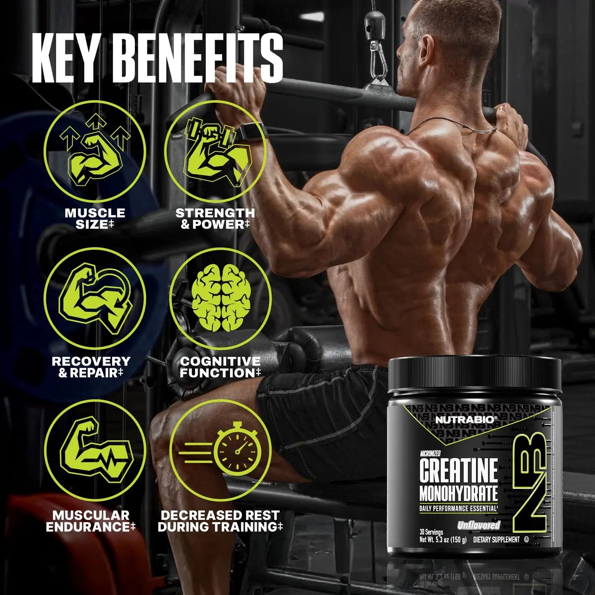 NutraBio Pure Micronized Creatine Monohydrate Powder Supplement, Unflavored (150 g) | Supports Muscle Energy & Recovery - view 2