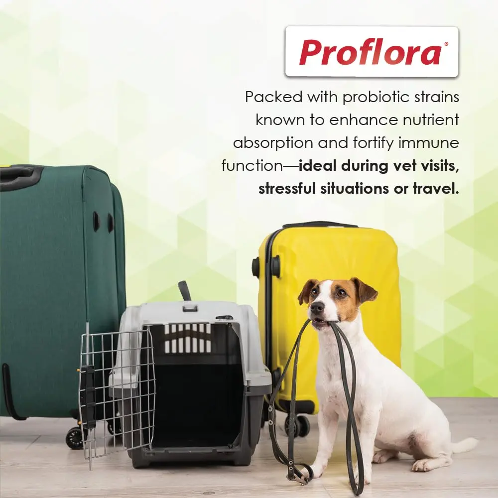 Proflora Probiotics & Prebiotics for Dogs 30 Sachets | Supports Gut & Immune Health - view 4
