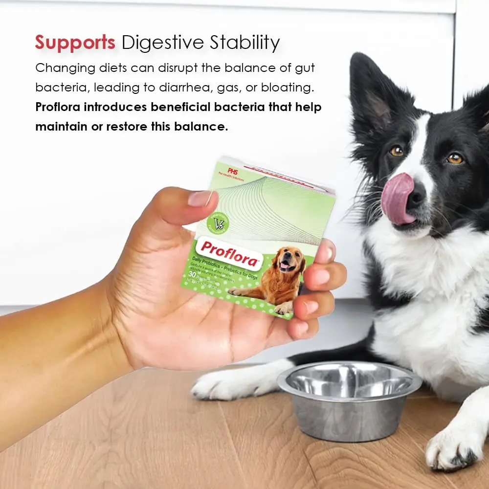Proflora Probiotics & Prebiotics for Dogs 30 Sachets | Supports Gut & Immune Health - view 5