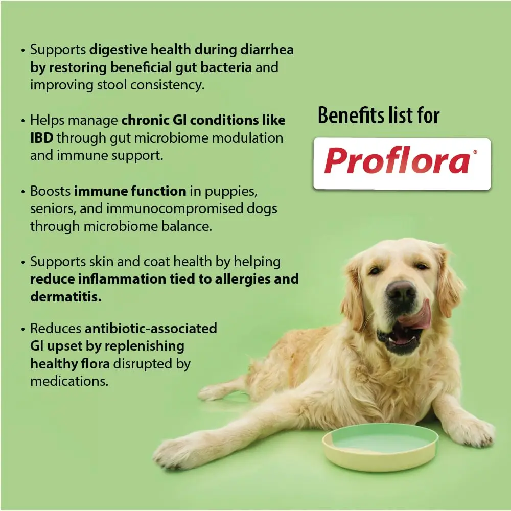 Proflora Probiotics & Prebiotics for Dogs 30 Sachets | Supports Gut & Immune Health - view 2