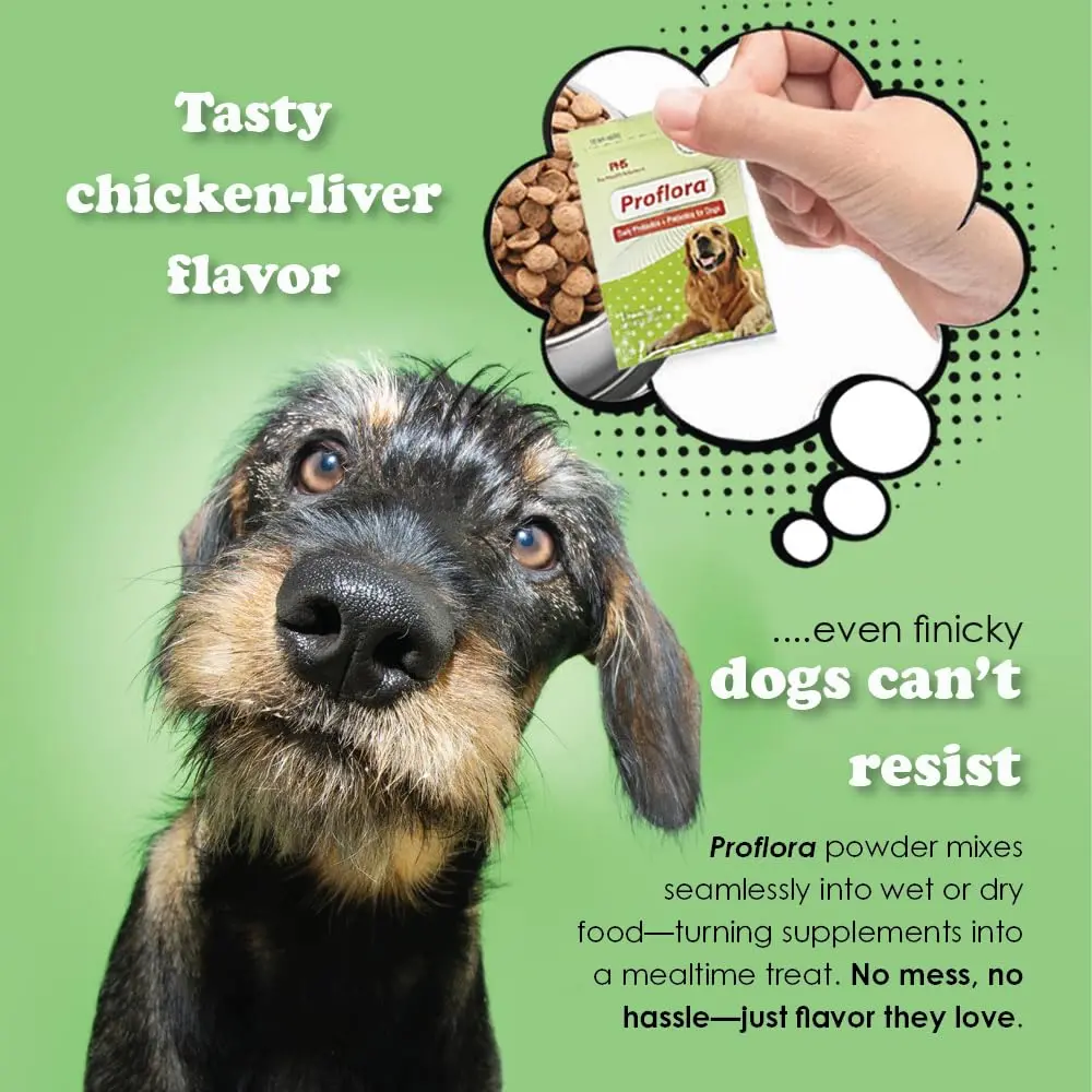 Proflora Probiotics & Prebiotics for Dogs 30 Sachets | Supports Gut & Immune Health - view 3