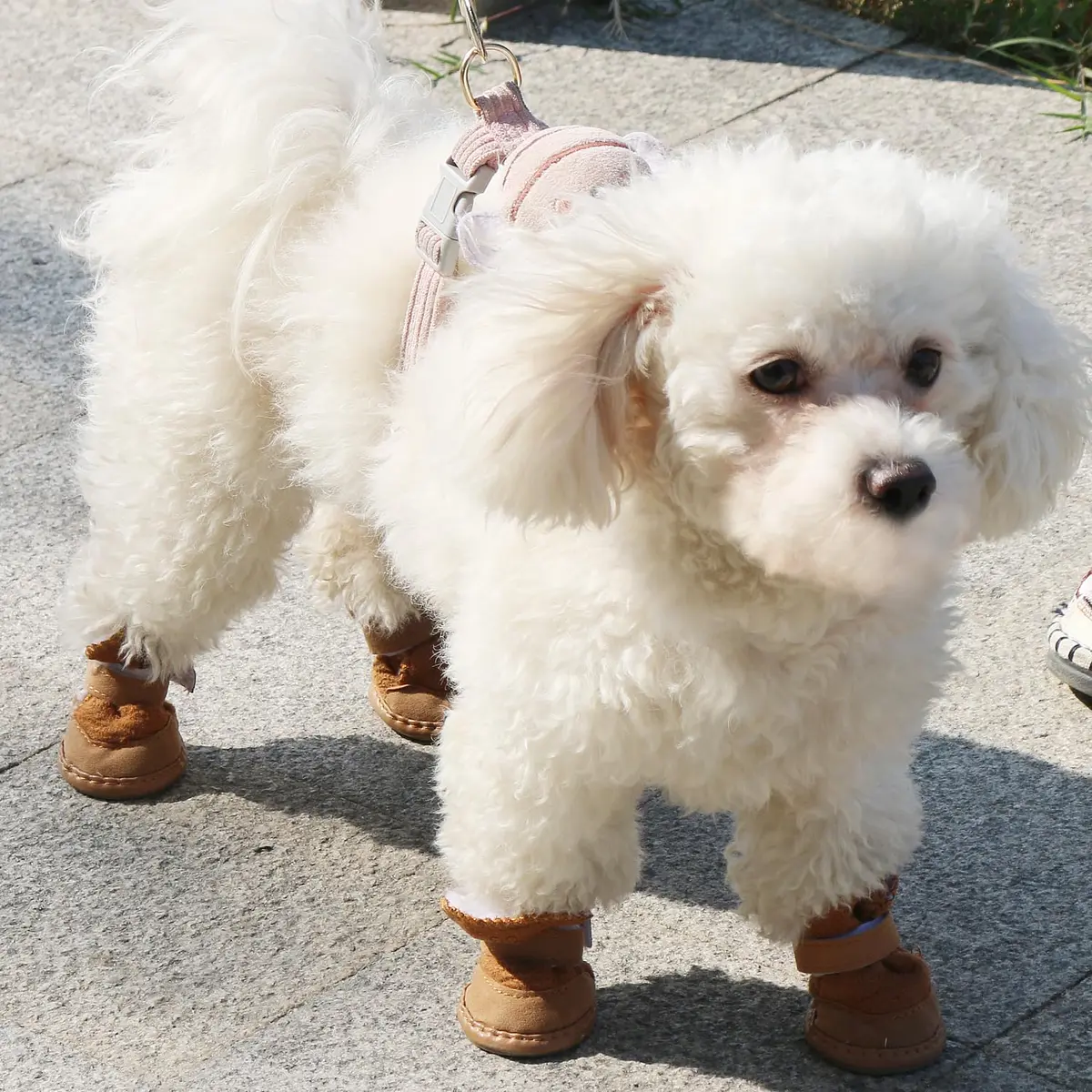 URBEST Dog Shoes with Hook & Loop Closure 4# | Non-Slip Plush Rubber Pet Booties for Small Dogs - view 3