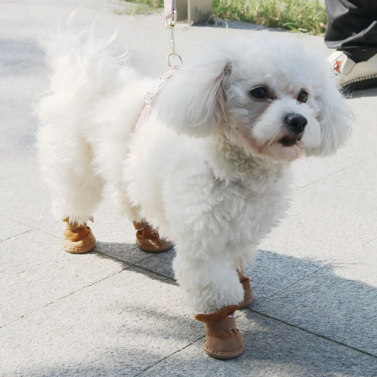 URBEST Dog Shoes with Hook & Loop Closure | Small, Durable & Non-Slip (2#, Brown) - main product image