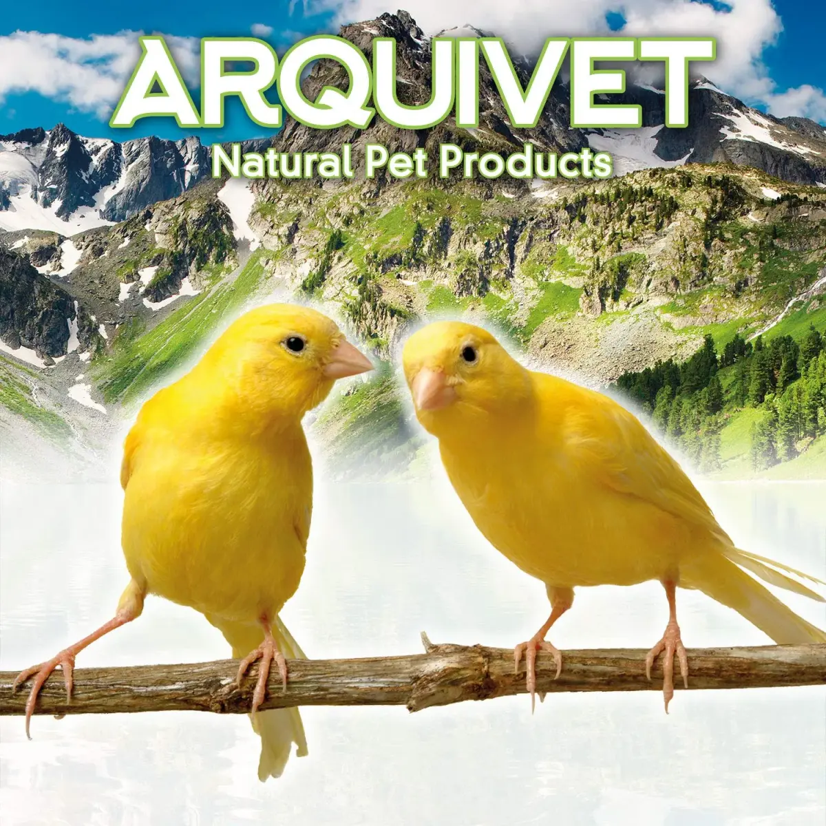 Arquivet Wooden Parakeet Nest Box 20cm (7.87in) | Natural Wood Bird House for Small Birds - view 2