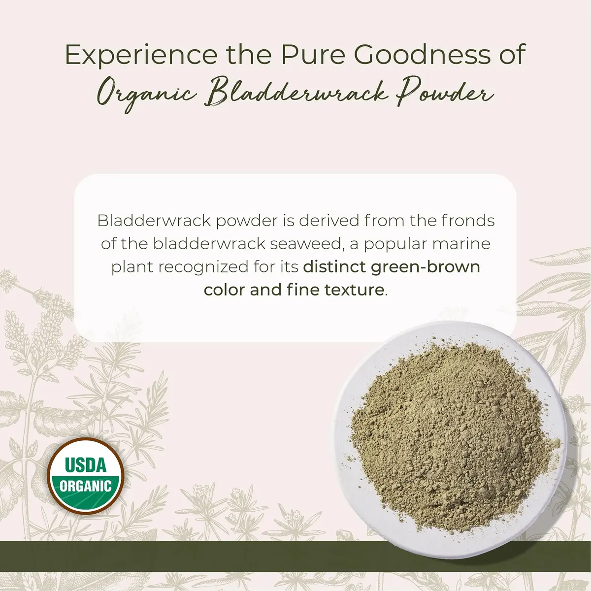 Starwest Botanicals Organic Bladderwrack Powder 454 g (1 lb) | USDA Certified Organic Seaweed Herb - view 2