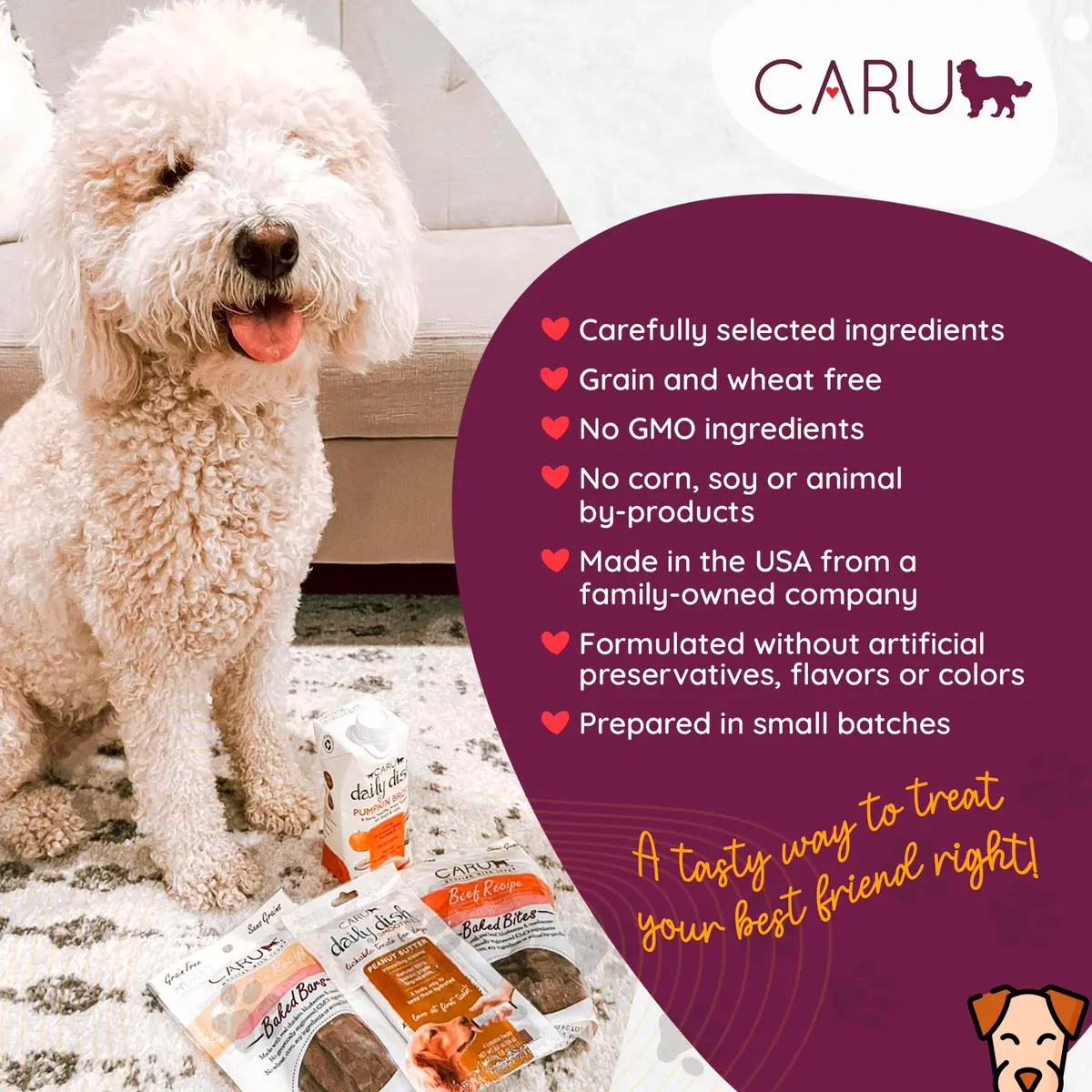 Caru Soft 'n Tasty Baked Bites - Chicken Dog Treats 4 oz | Wholesome Training Snacks - view 4