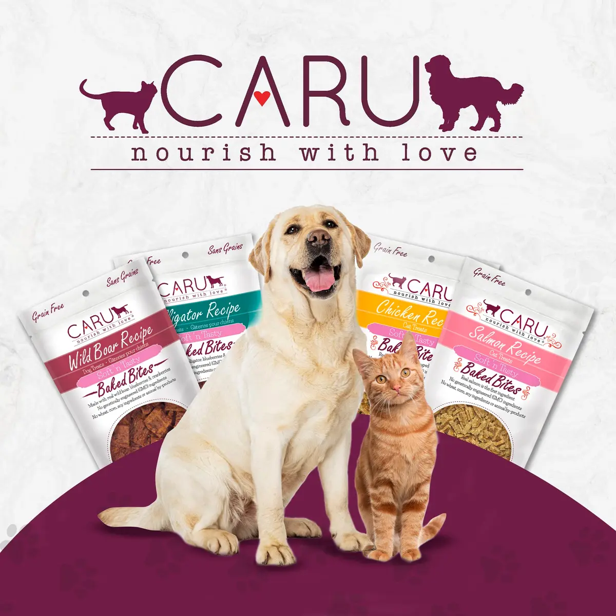 Caru Soft 'n Tasty Baked Bites - Chicken Dog Treats 4 oz | Wholesome Training Snacks - view 6