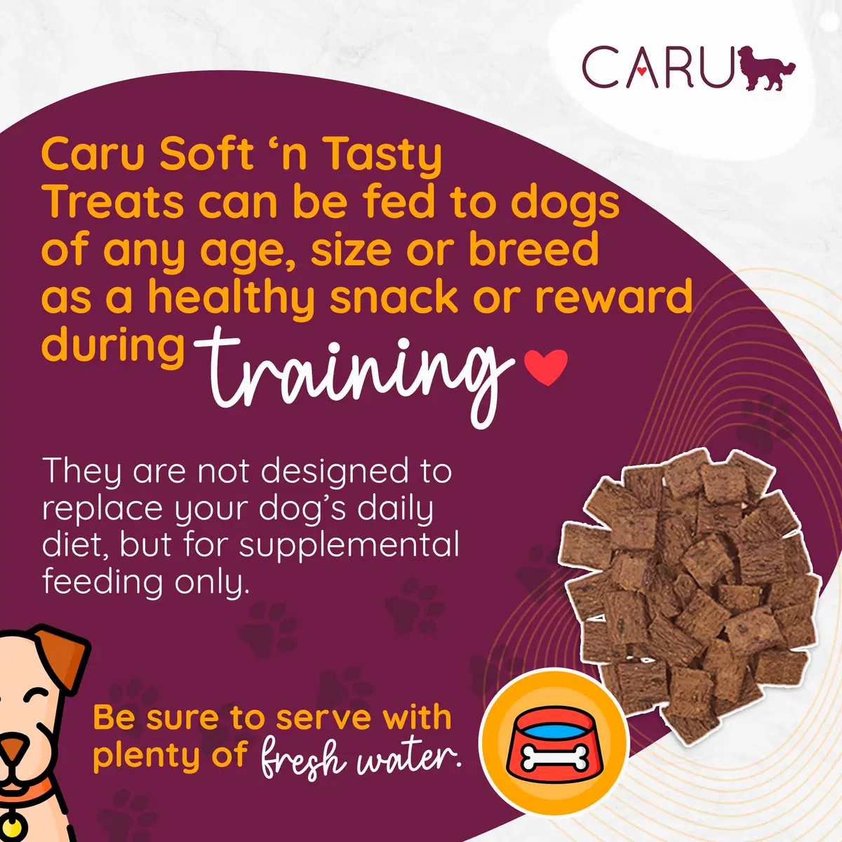 Caru Soft 'n Tasty Baked Bites - Chicken Dog Treats 4 oz | Wholesome Training Snacks - view 2