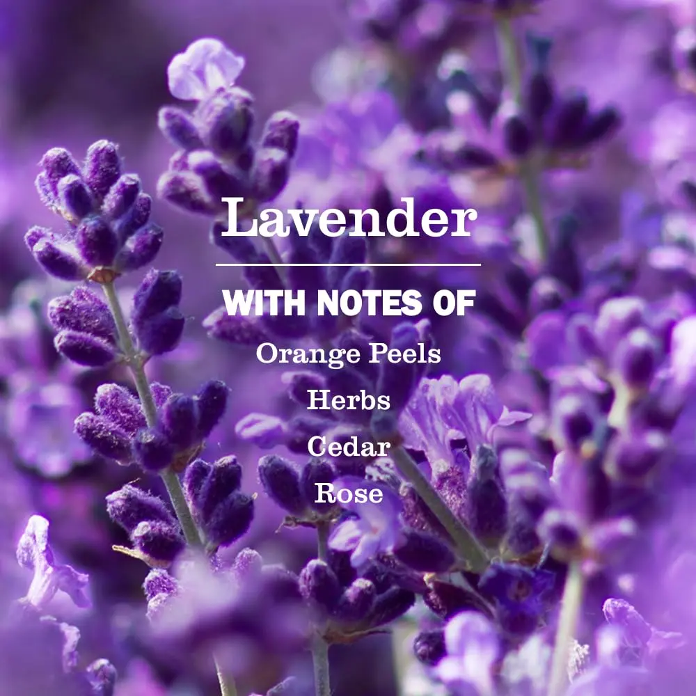 Mrs. Meyer's Clean Day Multi-Surface Cleaner Lavender 1.42 L (48 Fl Oz) | Cruelty-Free, Plant-Derived Formula - view 2