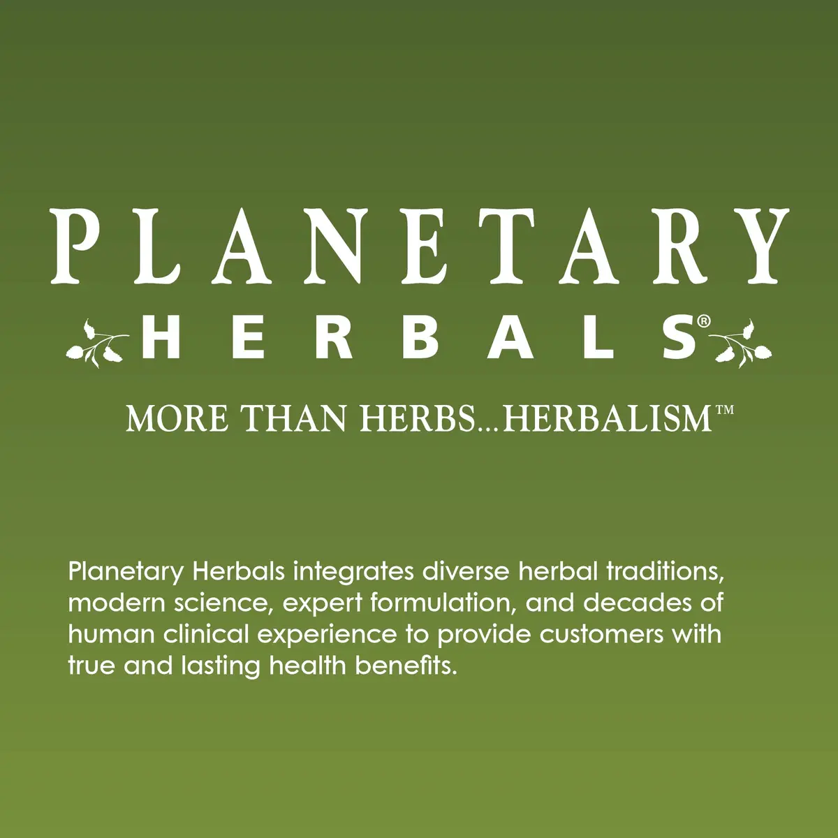 Planetary Herbals Triphala Internal Cleanser 180 Tablets | Supports GI Wellness & Regularity - view 5