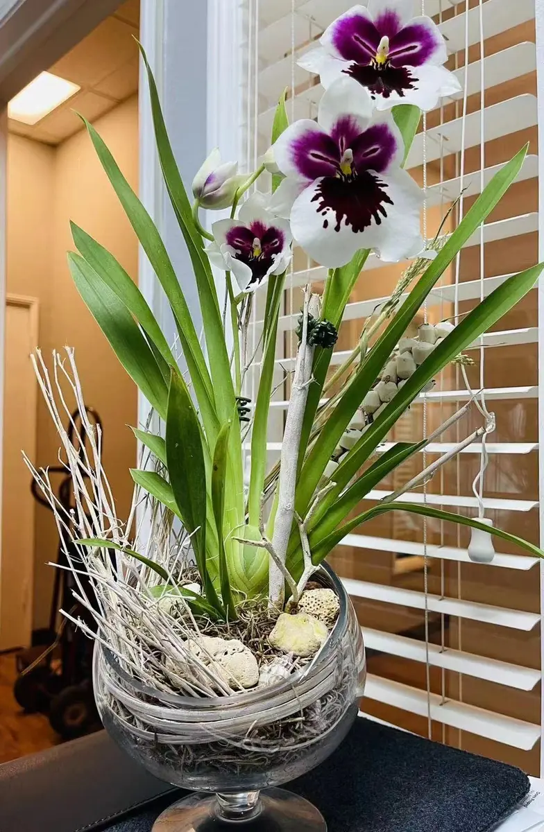 WGVI Slant Cut Bowl Glass Vase with Stand | Modern Clear Flower & Fruit Decor - view 7