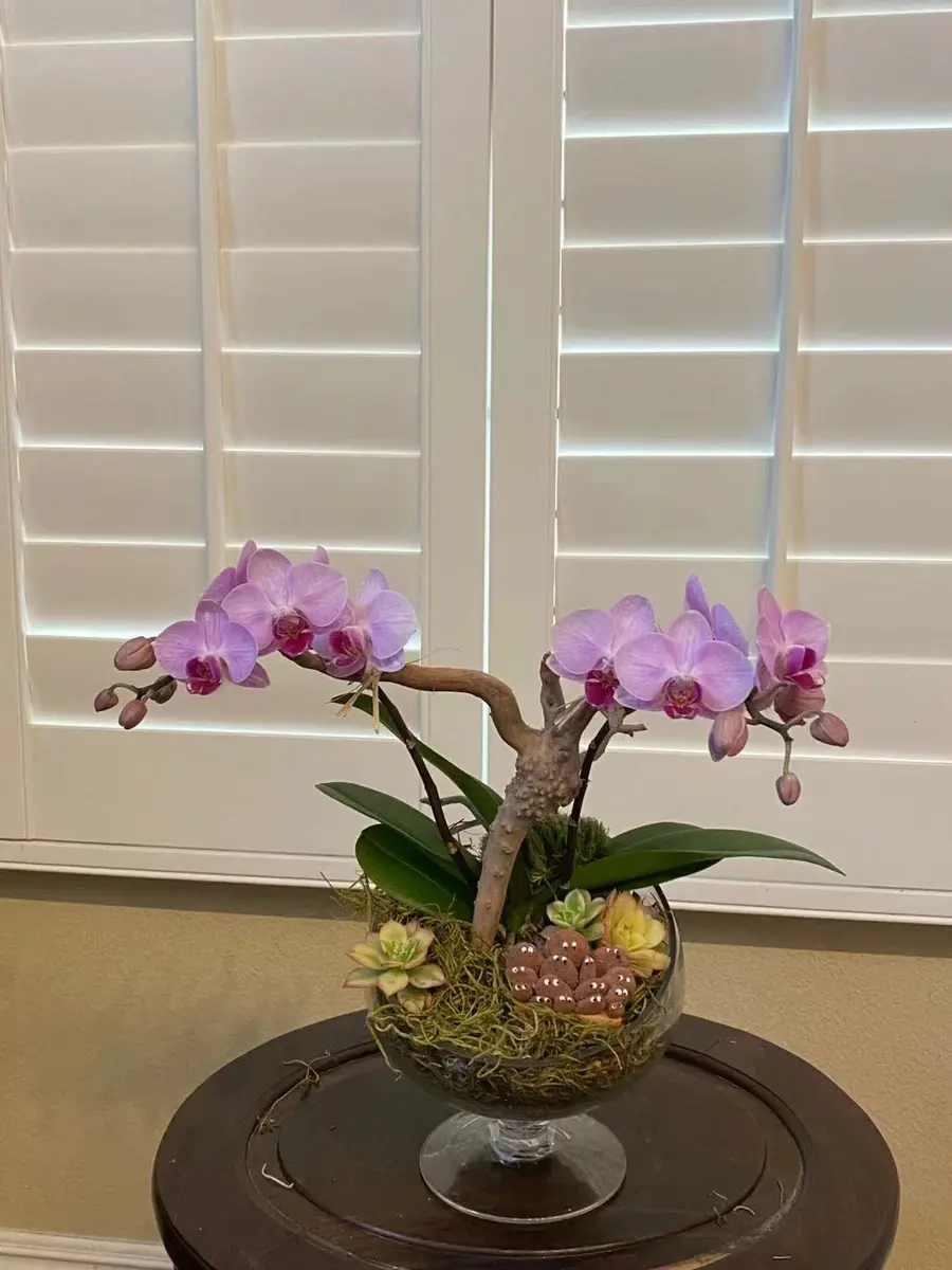 WGVI Slant Cut Bowl Glass Vase with Stand | Modern Clear Flower & Fruit Decor - view 9