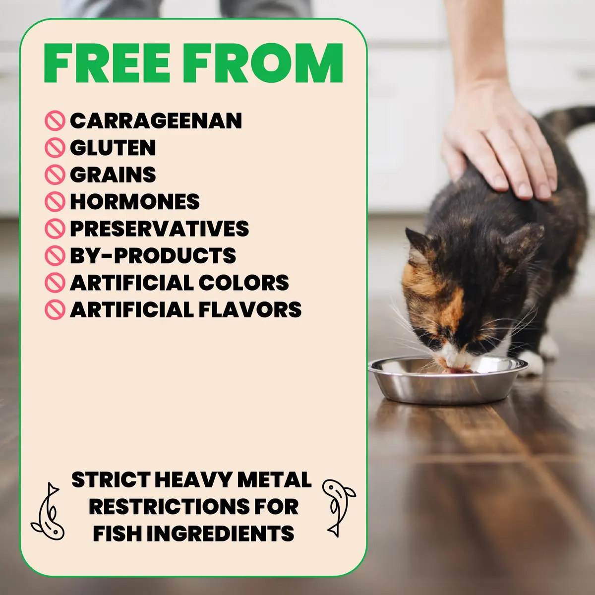 almo nature HQS Natural Wet Cat Food Chicken with Pumpkin 2.47oz | Grain Free & Additive Free - view 3