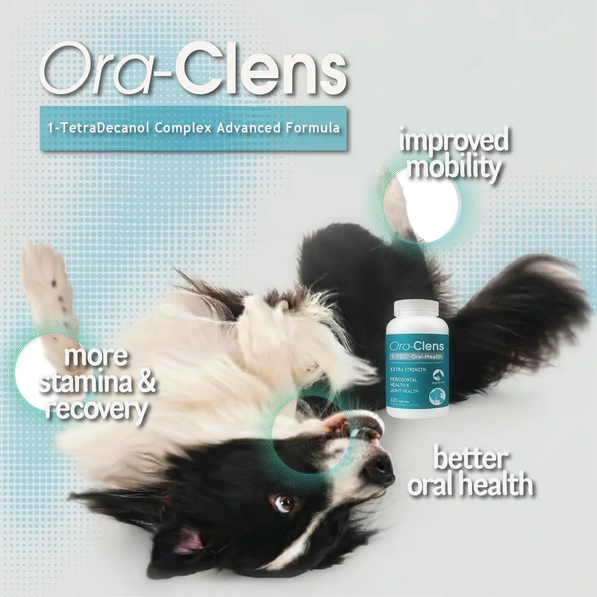 Ora-Clens 1-TDC Periodontal Supplement ES for Dog & Cat | Supports Oral, Hip & Joint Health, Skin & Coat, 120 Capsules - view 4
