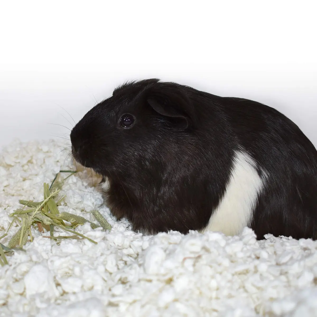 Carefresh White Nesting Small Pet Bedding 50L | Ultra-Absorbent & Dust-Free for Guinea Pigs & Rabbits - view 3