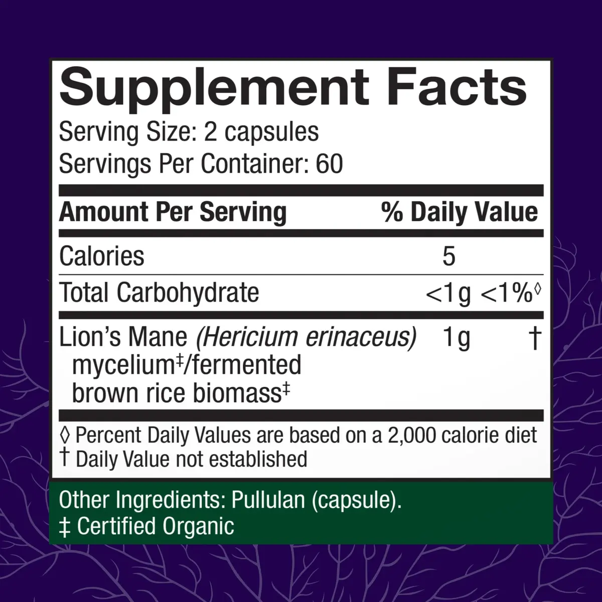 Host Defense Lion's Mane, Brain Support & Focus, 120 Capsules | Supports Memory & Nervous System - view 2
