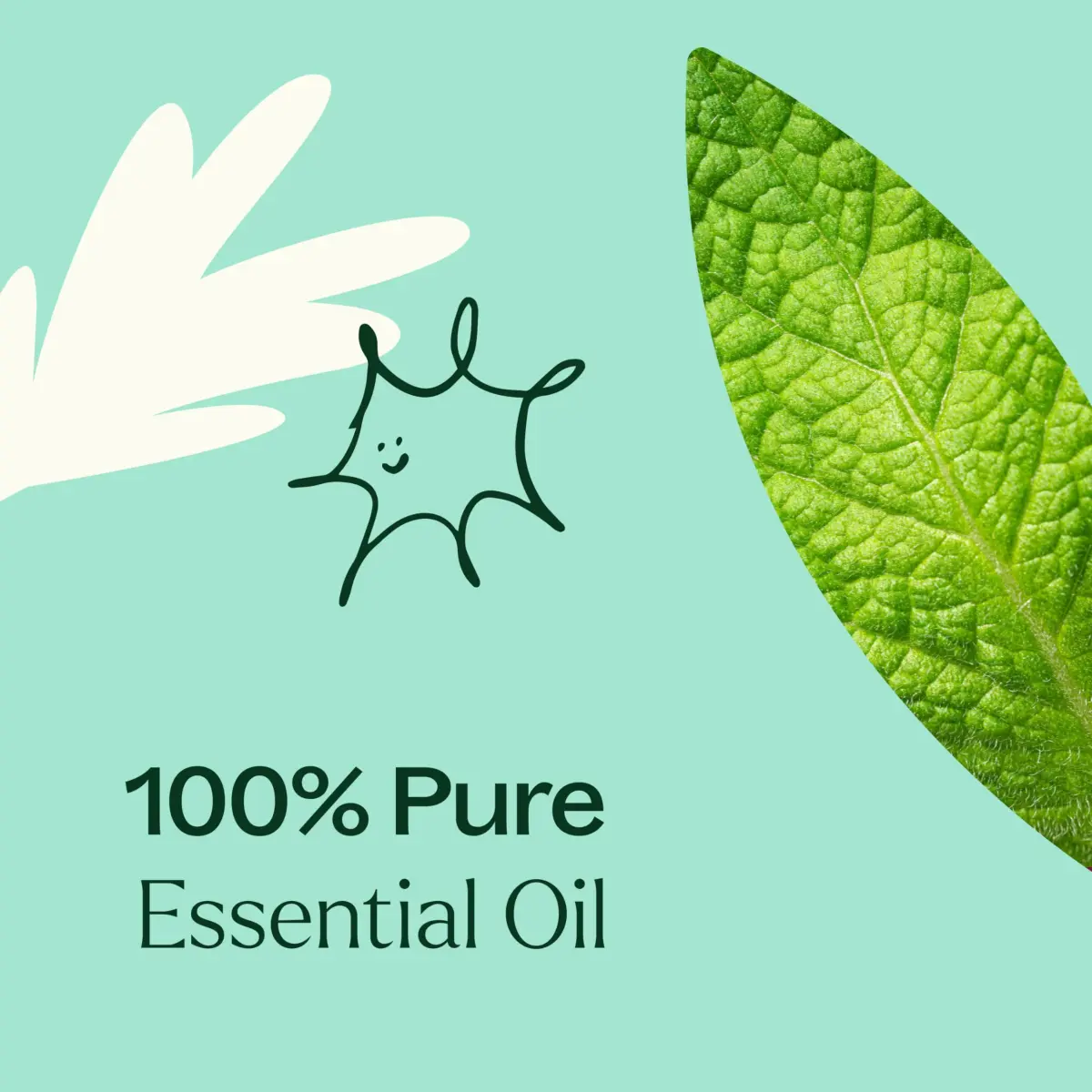 Plant Therapy Tension Relief Essential Oil Blend 30ml (1 Fl Oz) | Aromatherapy for Stress & Head Tension - view 5