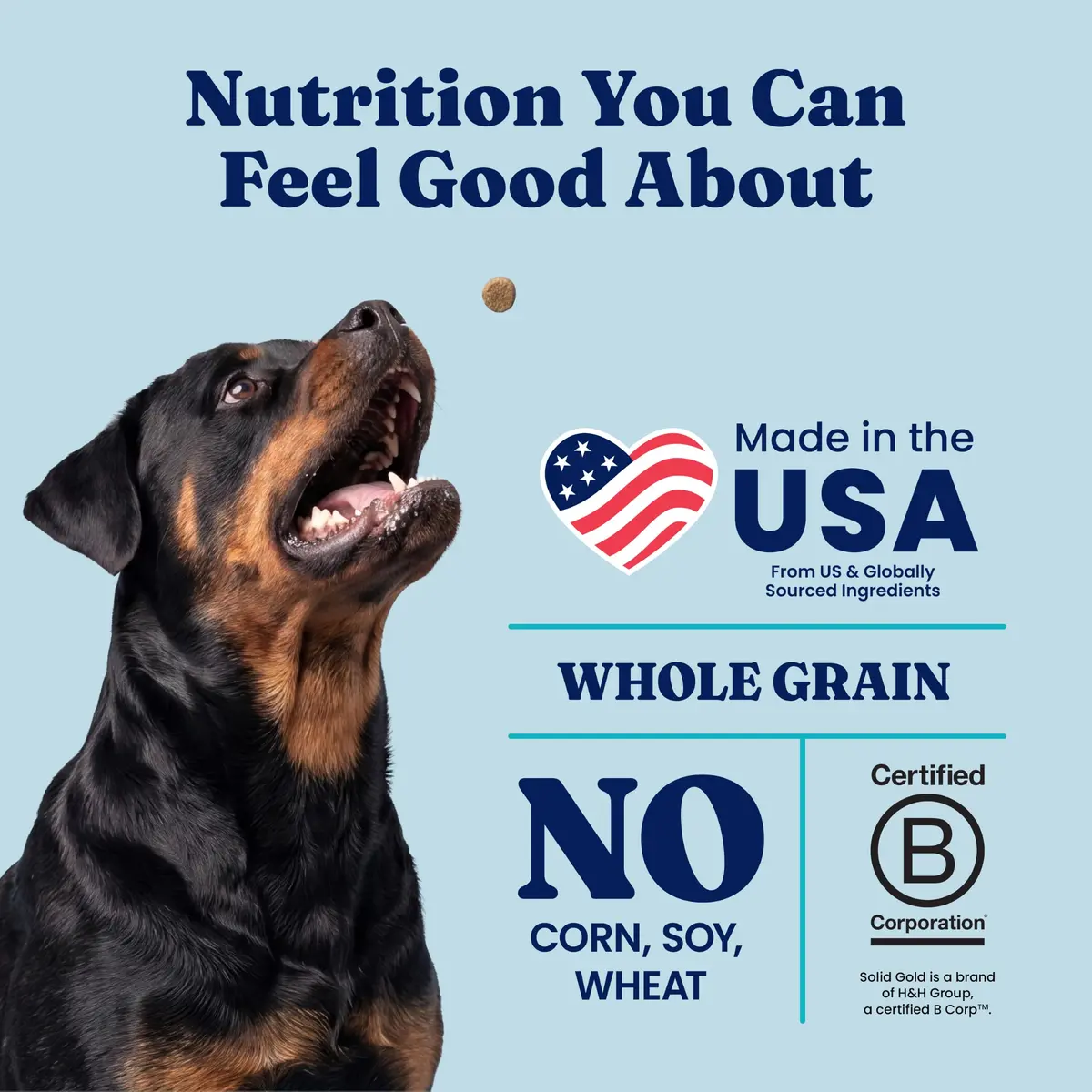 Solid Gold Lamb Dry Dog Food for Adult & Senior Dogs | High Protein with Probiotics (4LB) - view 5