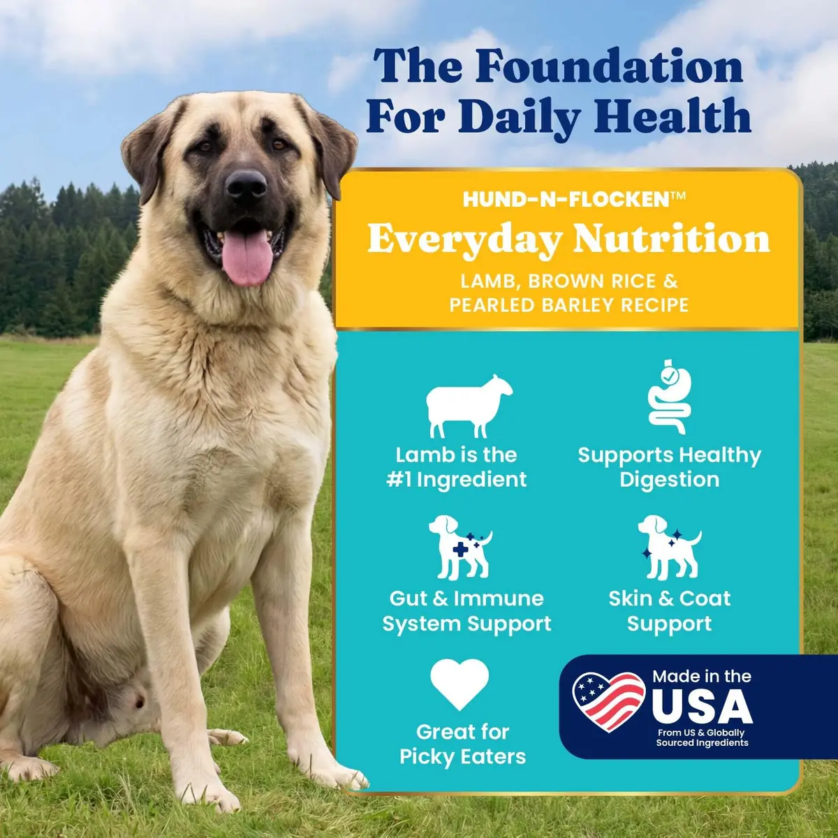 Solid Gold Lamb Dry Dog Food for Adult & Senior Dogs | High Protein with Probiotics (4LB) - view 2