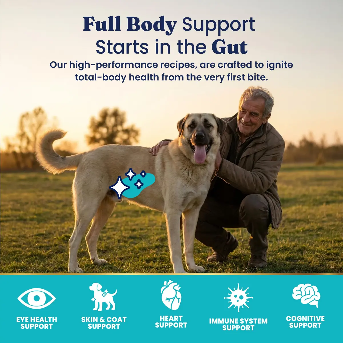 Solid Gold Lamb Dry Dog Food for Adult & Senior Dogs | High Protein with Probiotics (4LB) - view 4