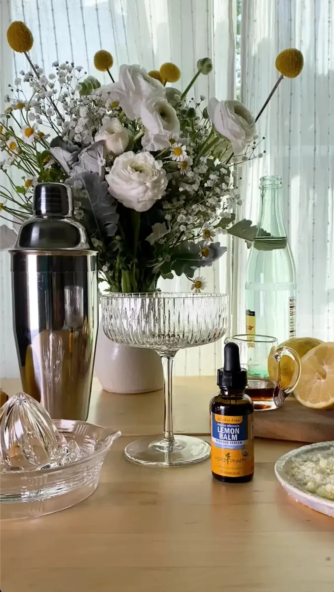 Herb Pharm Organic Lemon Balm Extract Alcohol-Free Liquid 118ml (4 Fl Oz) | Calming Support for Nervous System - view 4