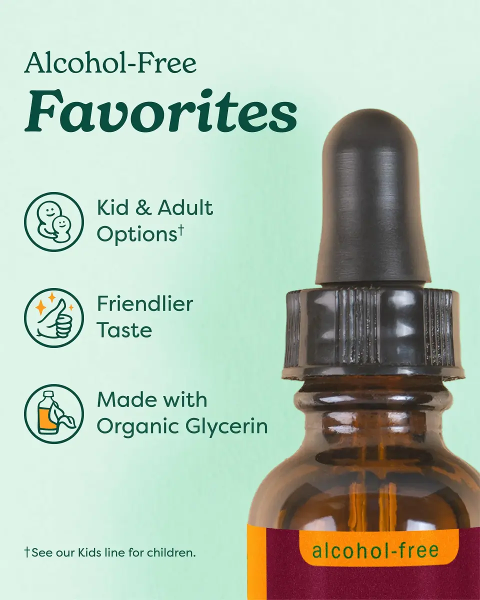 Herb Pharm Organic Lemon Balm Extract Alcohol-Free Liquid 118ml (4 Fl Oz) | Calming Support for Nervous System - view 6
