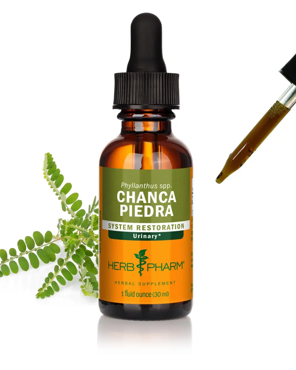 Herb Pharm Chanca Piedra Liquid Extract 1 Fl Oz (29.57 ml) | Supports Urinary System Health - main product image