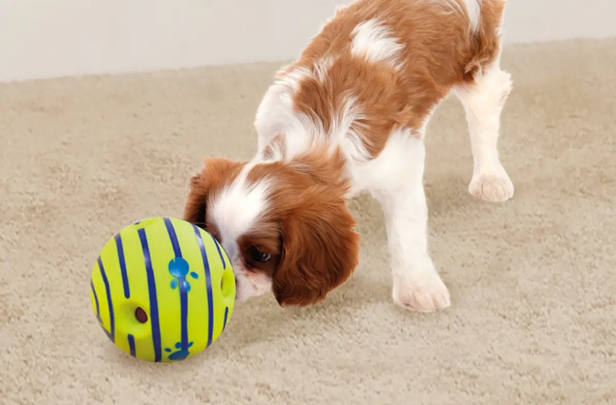 Wobble Wag Giggle Ball Dog Toy 5.5" | Interactive Noise-Making Playmate - view 2
