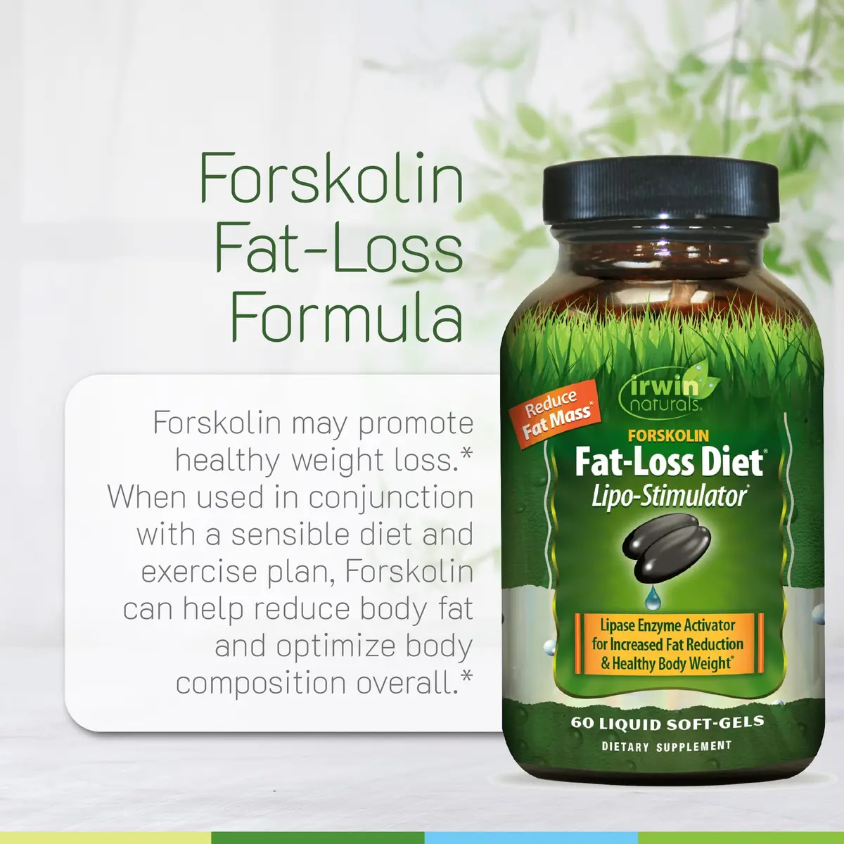 Irwin Naturals Forskolin Fat-Loss Diet Supplement 60 Softgels | Supports Metabolism & Body Composition - view 5