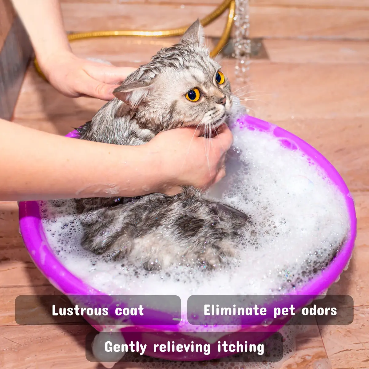 Pet Silk Coarse Coat Shampoo 16 Oz | Texturizing & Coarse Coat Care for Dogs - view 3