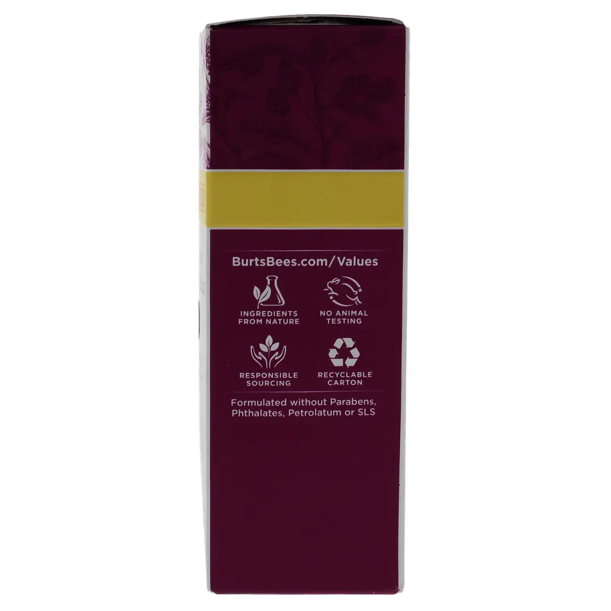 Burt's Bees Renewal Intensive Firming Serum with Bakuchiol 1 oz | Natural Retinol Alternative - view 8