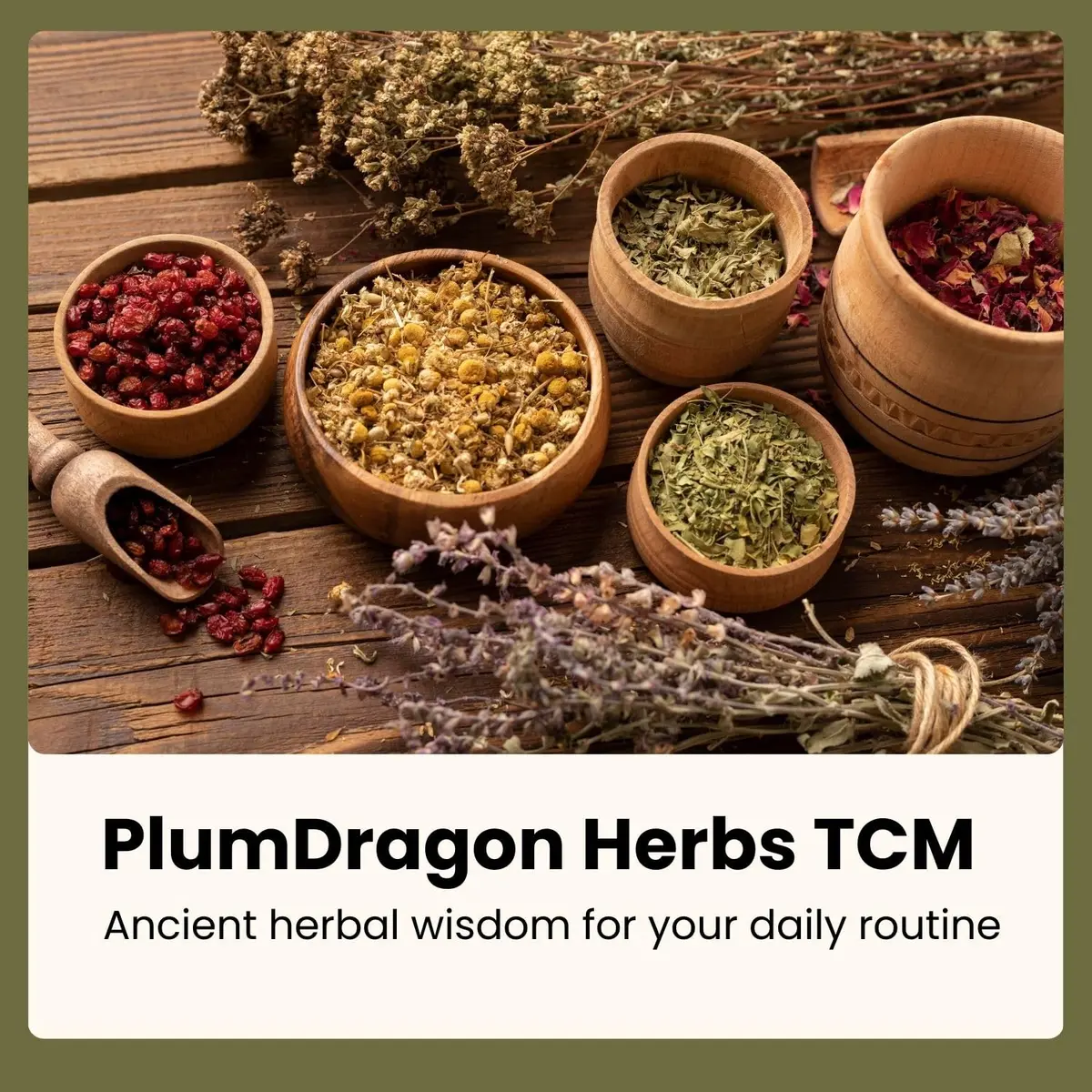 Plum Dragon Tu Si Zi Powder 16 Ounce | Traditional Chinese Herb for Wellness - view 9