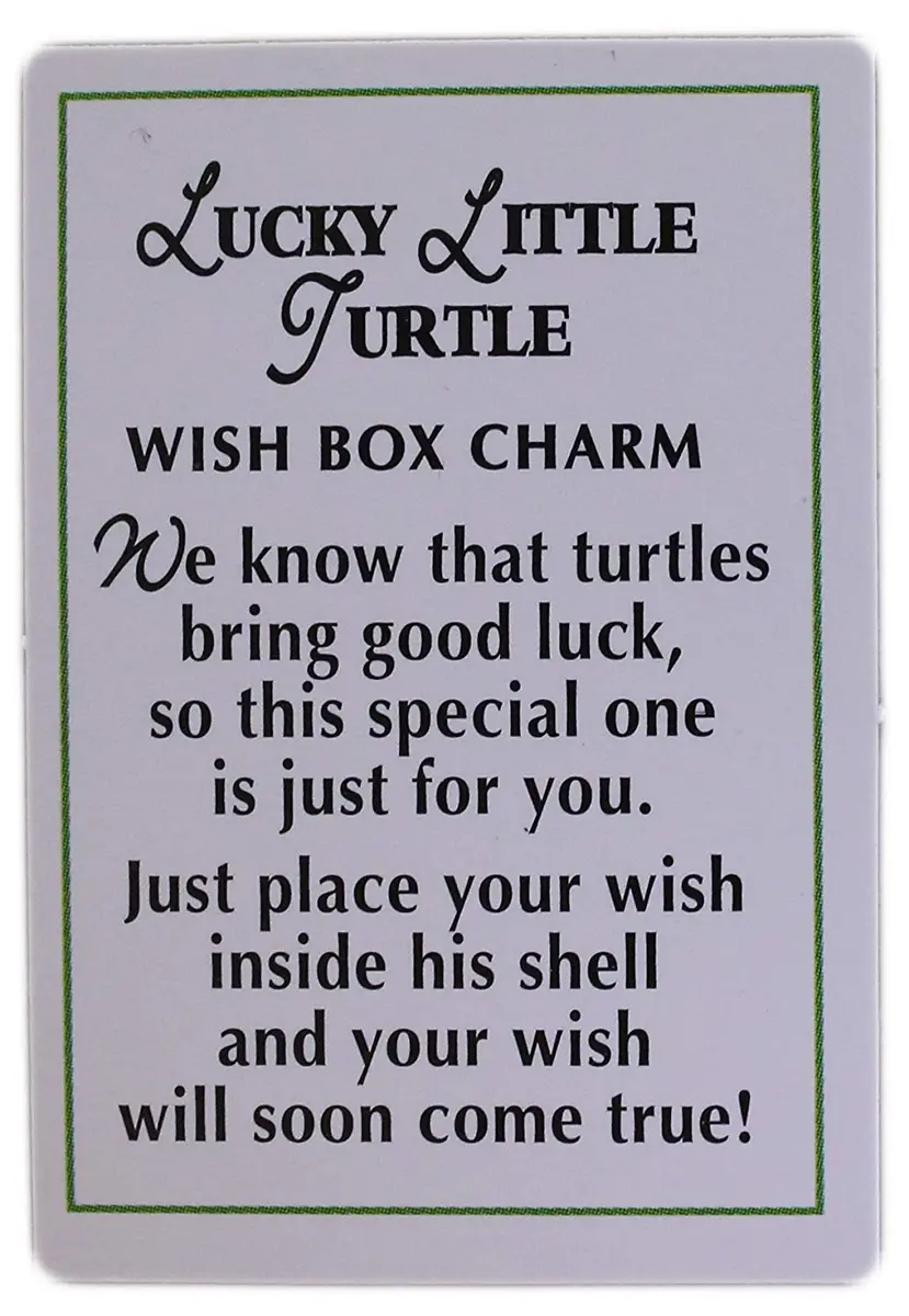 Ganz Lucky Little Turtle Wish Box Charm With Story Card! | Animal Theme Charm - view 2