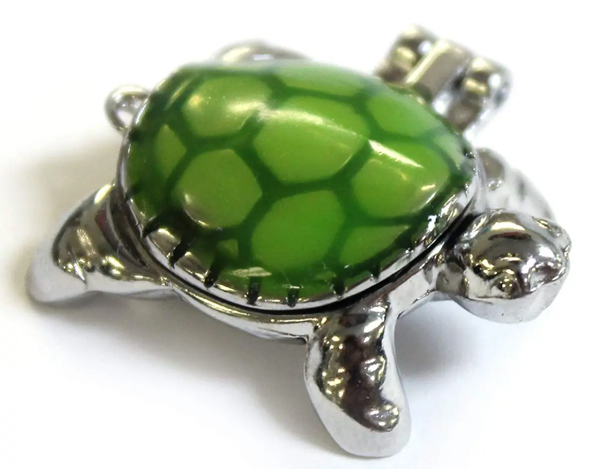 Ganz Lucky Little Turtle Wish Box Charm With Story Card! | Animal Theme Charm - view 4