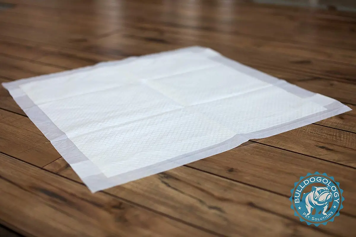 Bulldogology Puppy Training Pads - 100-Count Large Leak-Proof Pee Pads with 6 Layers & Quick Dry Polymer (24x24 inches) - view 3