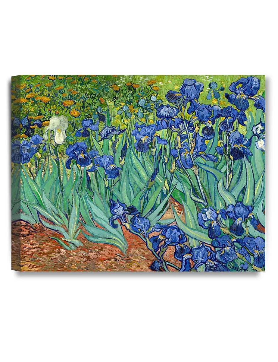 DECORARTS Van Gogh Canvas Wall Art, Irises in the Garden, 20x16'' | Vibrant Blue & Green Artwork - main product image