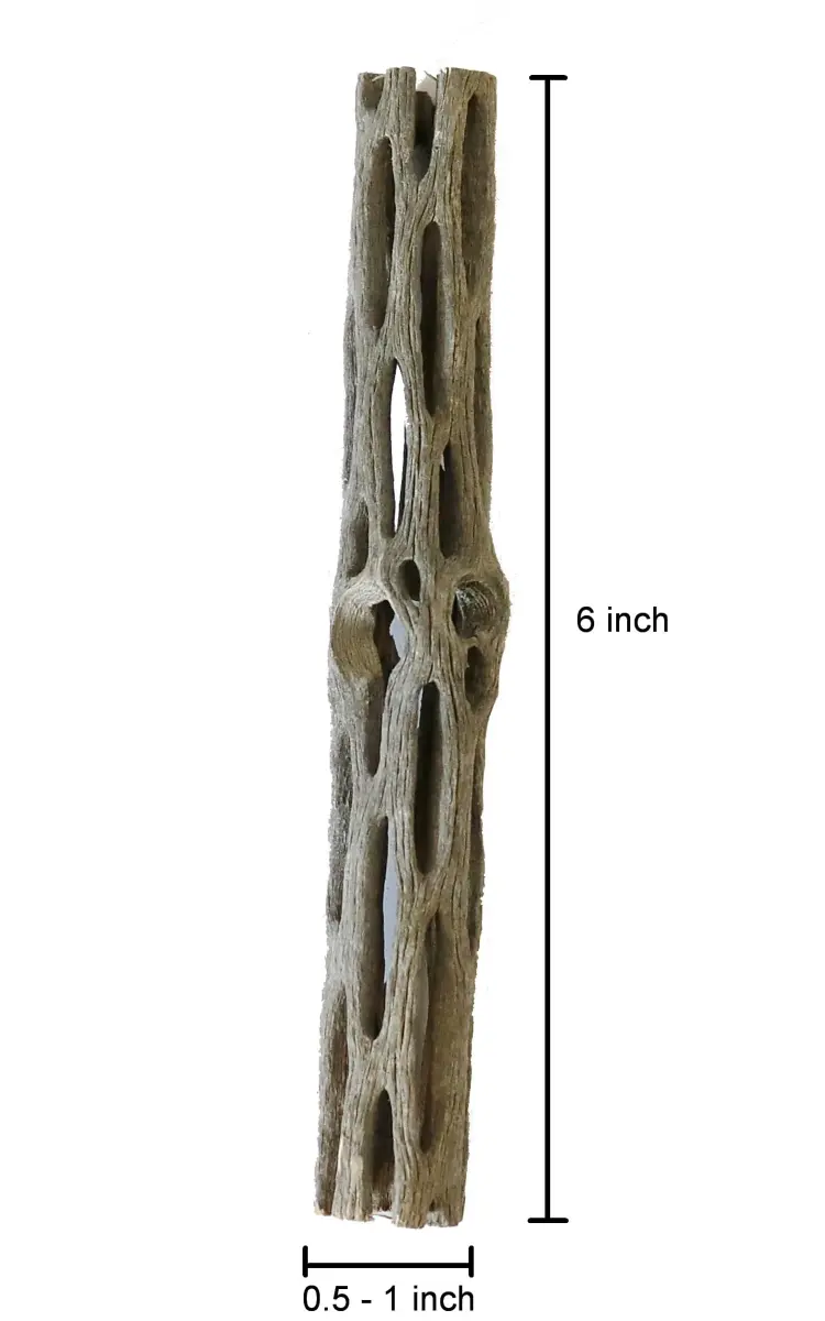 SoShrimp Natural Cholla Wood for Aquarium Decoration 3 Pieces (6 Inch Each) | Safe for Shrimp, Fish, and Reptiles - view 5