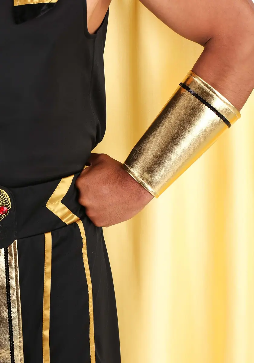 Dreamgirl King of Egypt King Tut Costume Large | Egyptian Costume for Men, Halloween - view 6