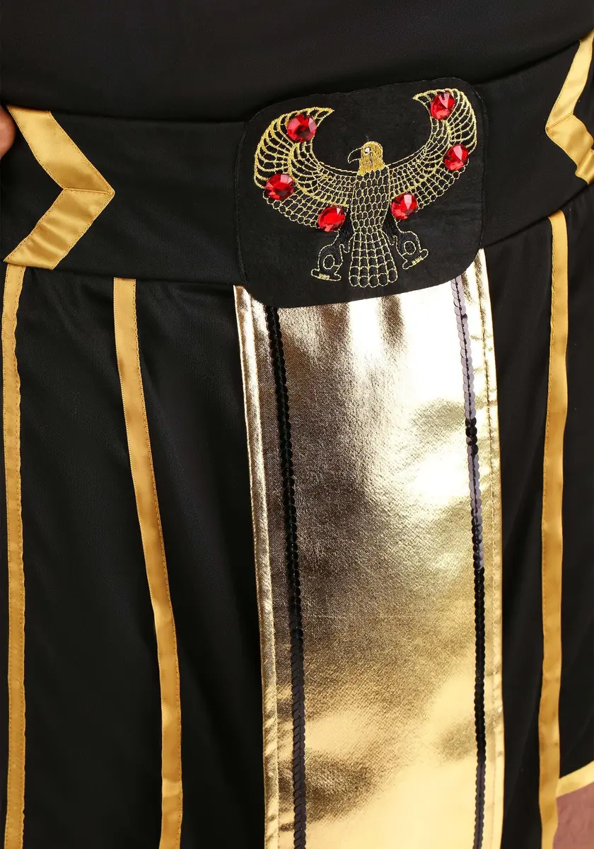 Dreamgirl King of Egypt King Tut Costume Large | Egyptian Costume for Men, Halloween - view 7