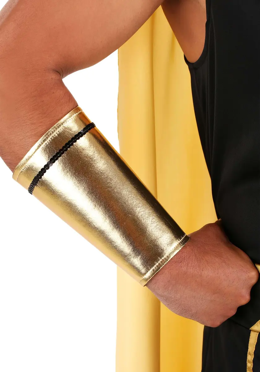 Dreamgirl King of Egypt King Tut Costume Large | Egyptian Costume for Men, Halloween - view 8