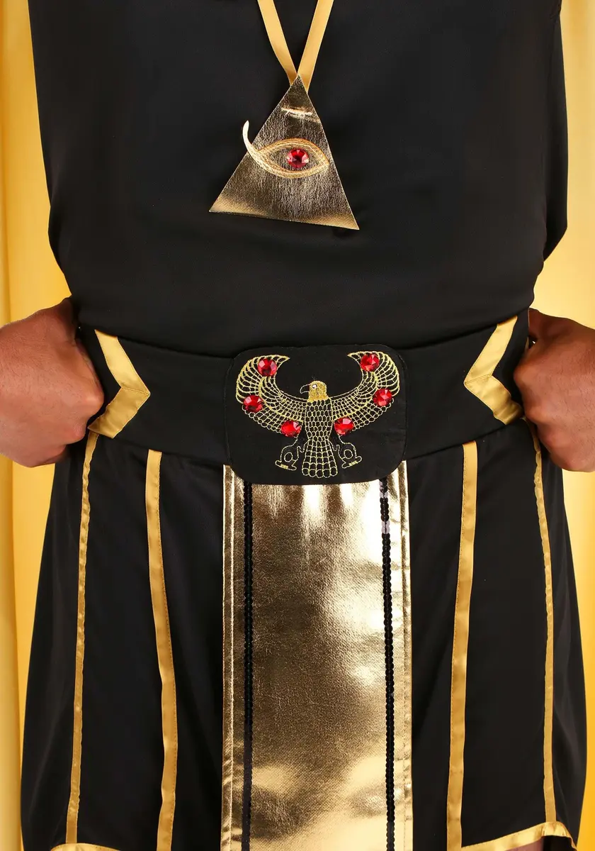 Dreamgirl King of Egypt King Tut Costume Large | Egyptian Costume for Men, Halloween - view 9
