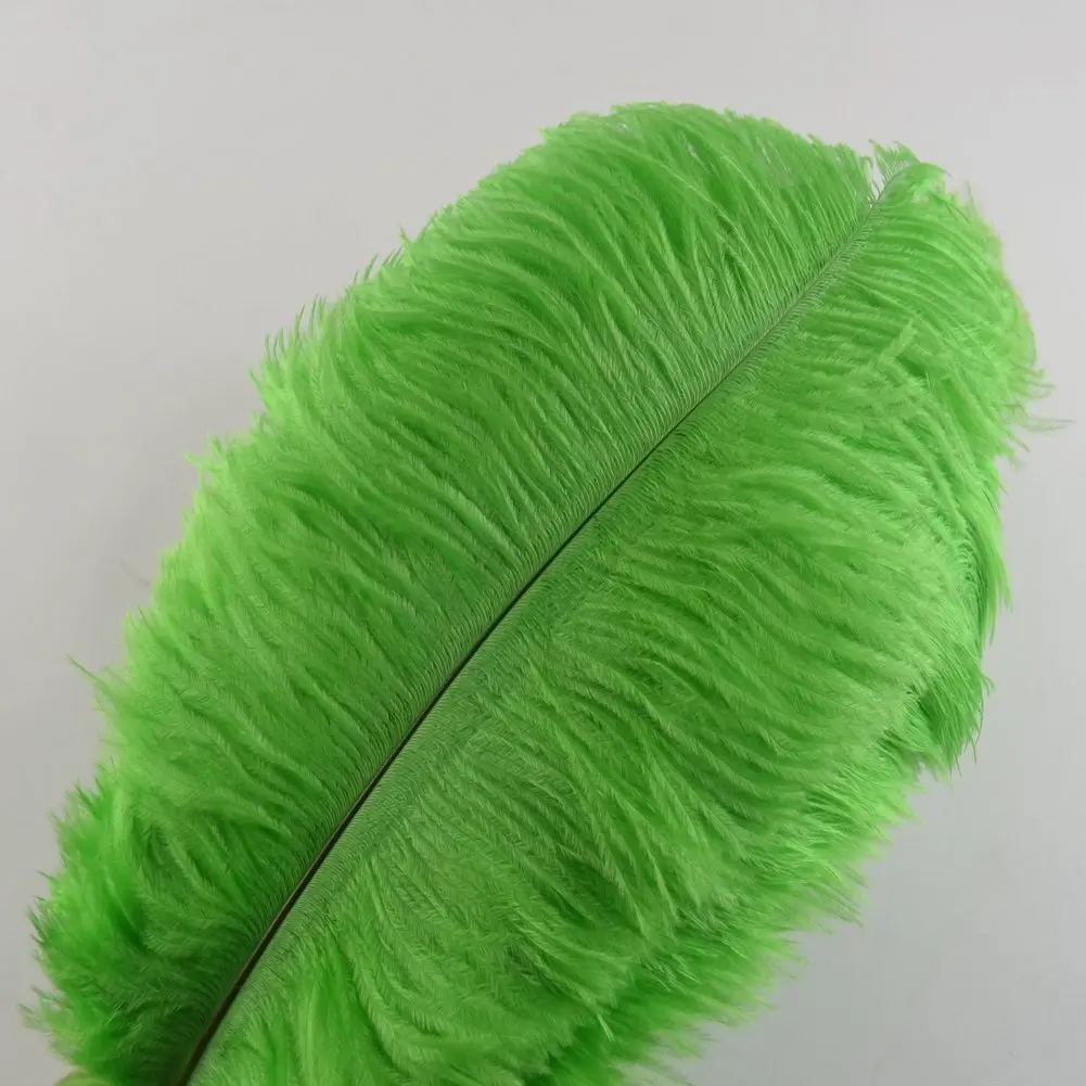 Sowder 10pcs Ostrich Feathers 12-14inch | Natural Lime Green for Wedding & Party Decor - view 2