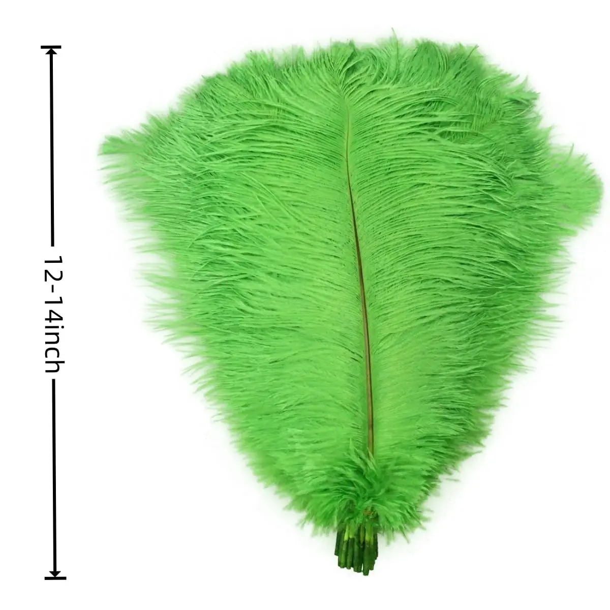Sowder 10pcs Ostrich Feathers 12-14inch | Natural Lime Green for Wedding & Party Decor - view 3