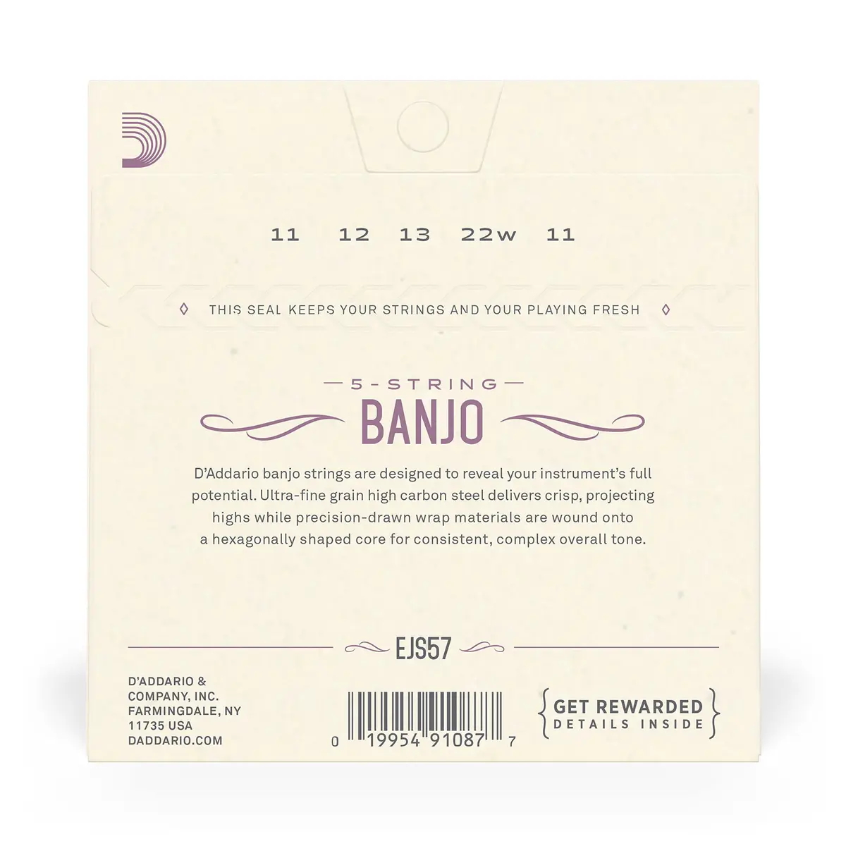 D'Addario EJS57 Banjo Strings, Stainless Steel, Custom Medium Gauge 11-22 (Pack of 1) | Bright Tone & Long Life - view 3