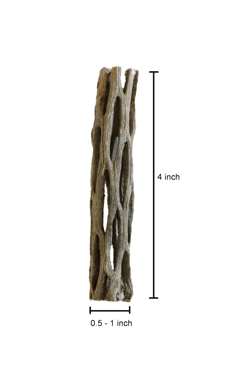SoShrimp Natural Cholla Wood for Aquarium Decoration Shrimp and Fish Tank 10.16cm (4 Inch (3 Pack)) | Natural Aesthetic Appeal - view 5
