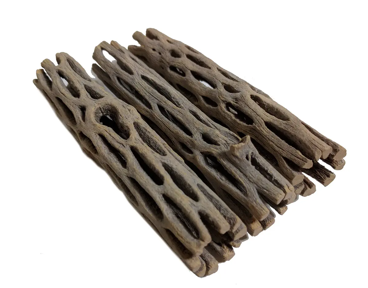 SoShrimp Natural Cholla Wood for Aquarium Decoration Shrimp and Fish Tank 10.16cm (4 Inch (3 Pack)) | Natural Aesthetic Appeal - main product image