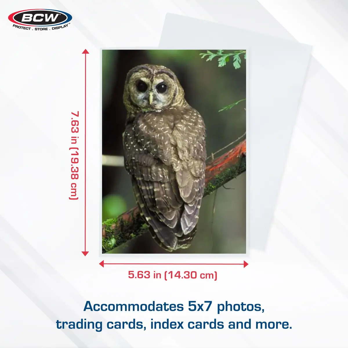 BCW 5x7 Photo Sleeves Acid-Free Polypropylene 100 Count | Archival-Quality Photo Protection - view 3