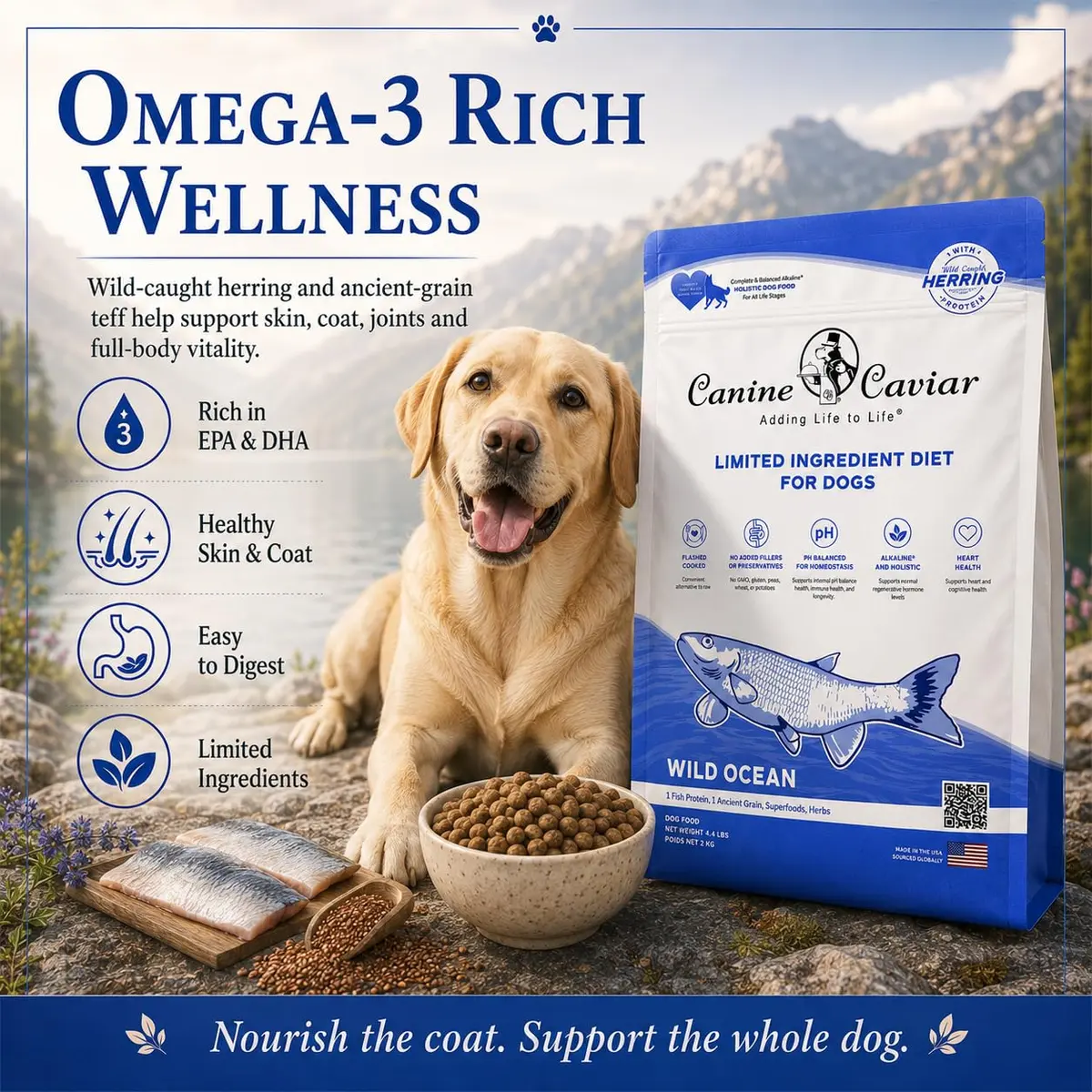 Canine Caviar Wild Ocean Dry Dog Food Herring & Teff 22 lb | Alkaline, Limited Ingredient, Natural Nutrition - view 8