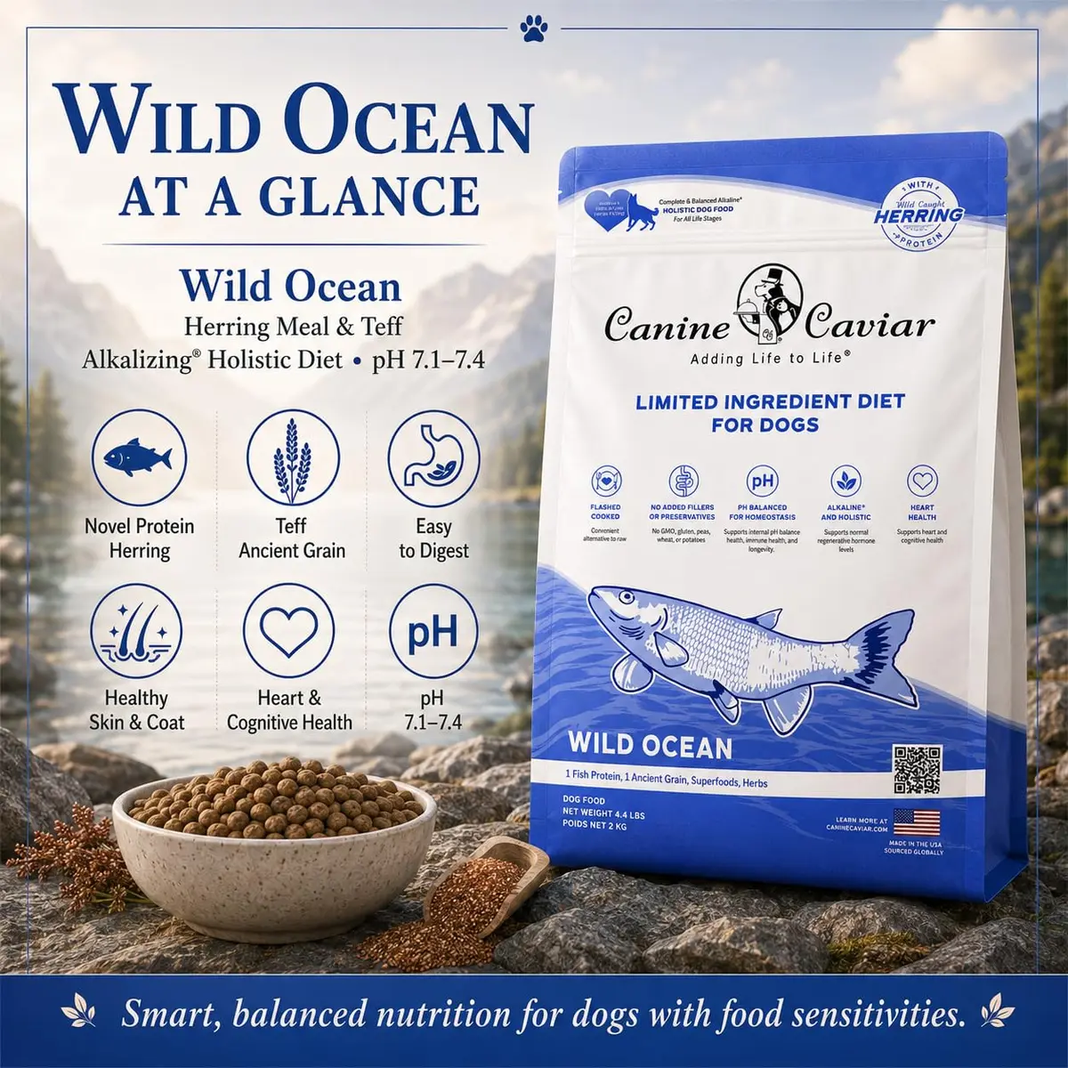 Canine Caviar Wild Ocean Dry Dog Food Herring & Teff 22 lb | Alkaline, Limited Ingredient, Natural Nutrition - view 2